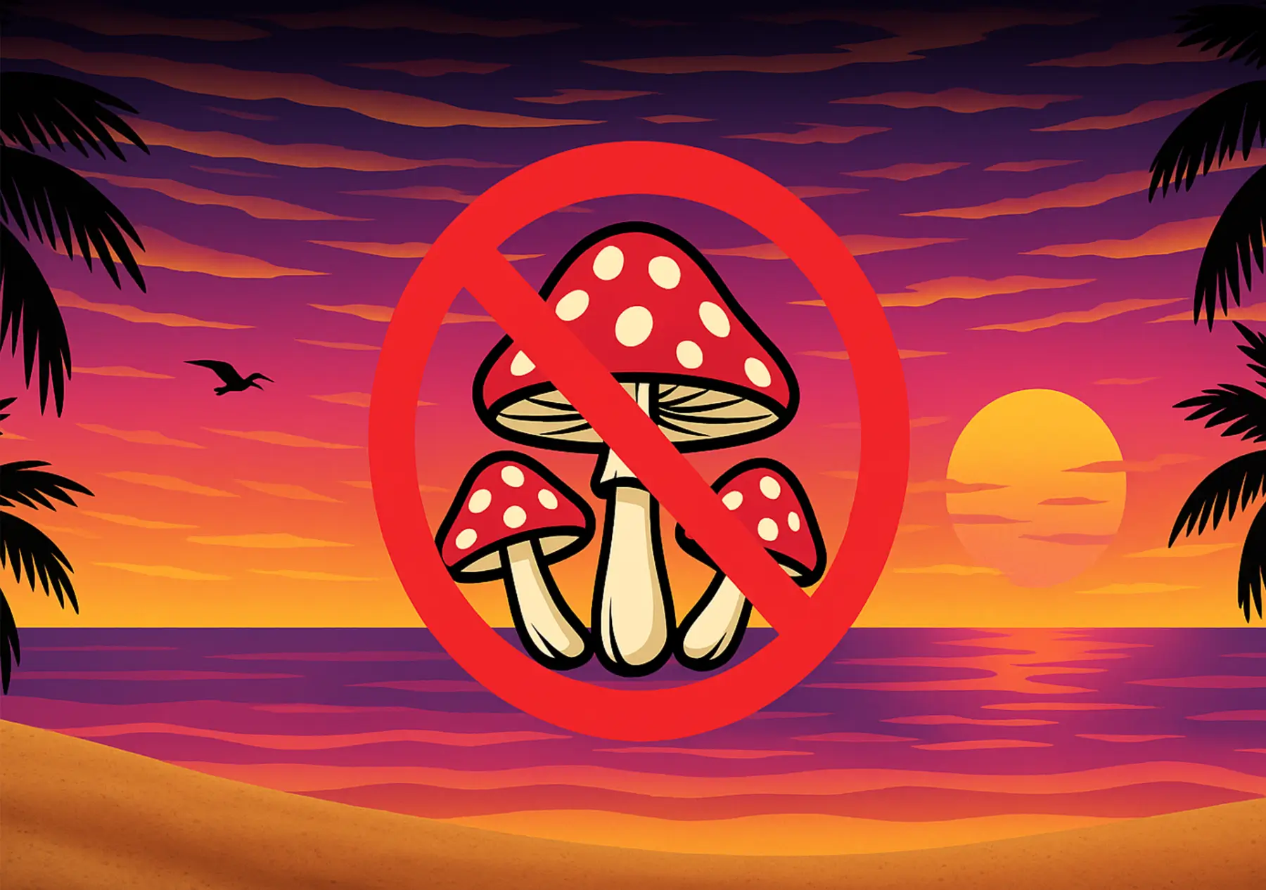 Magic Mushrooms and Why Your Local Dispensary Does Not Carry Them Image